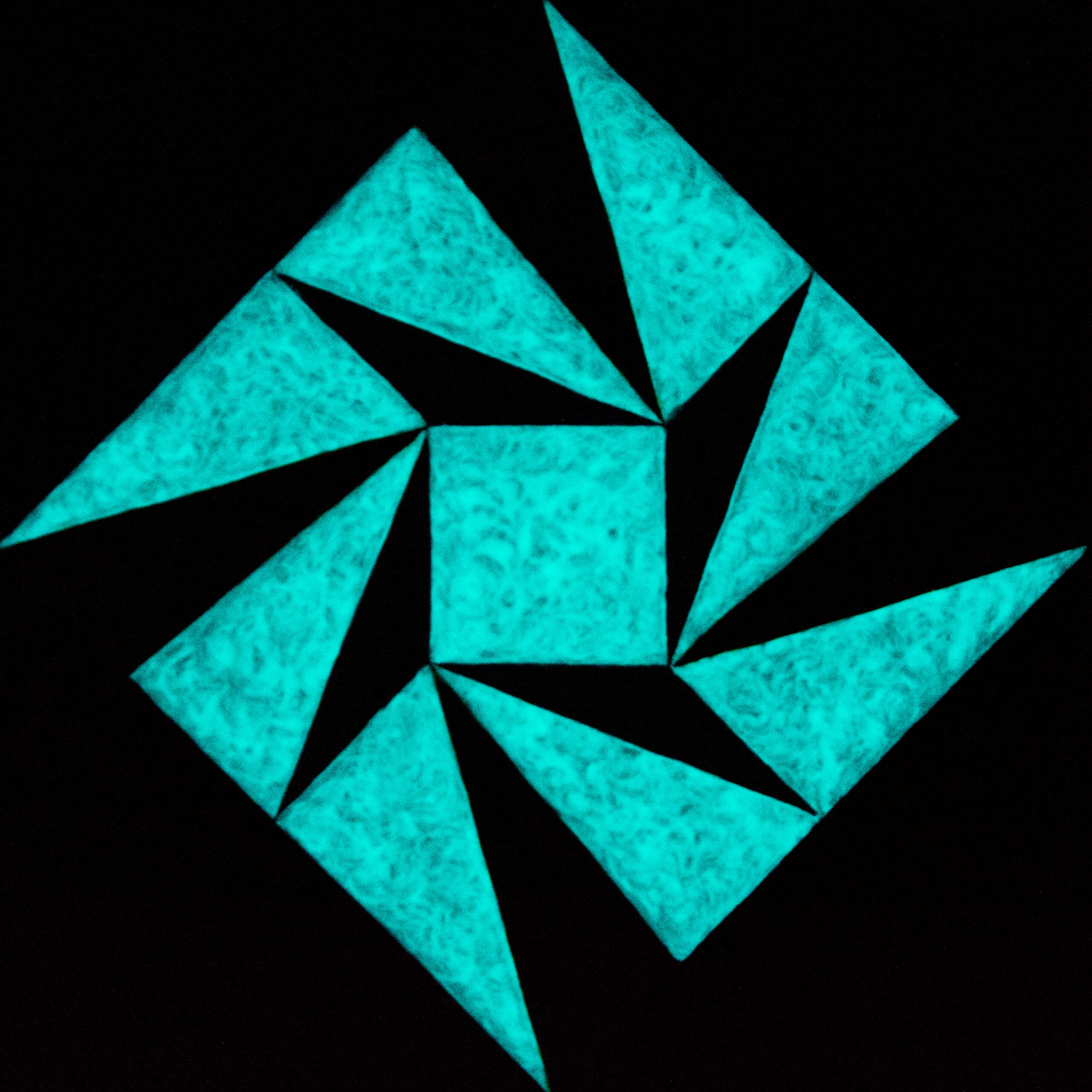 gallery grid image