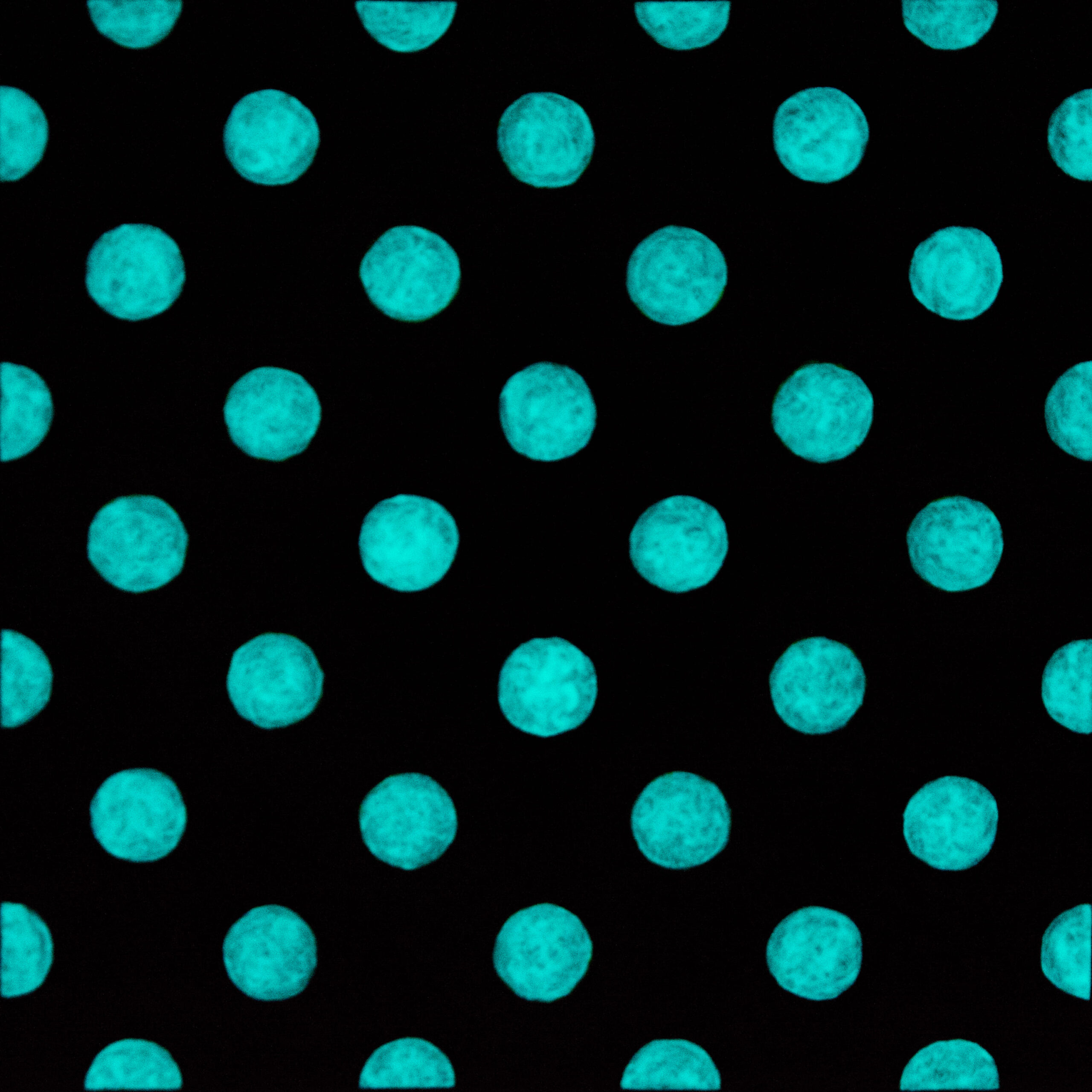 gallery grid image