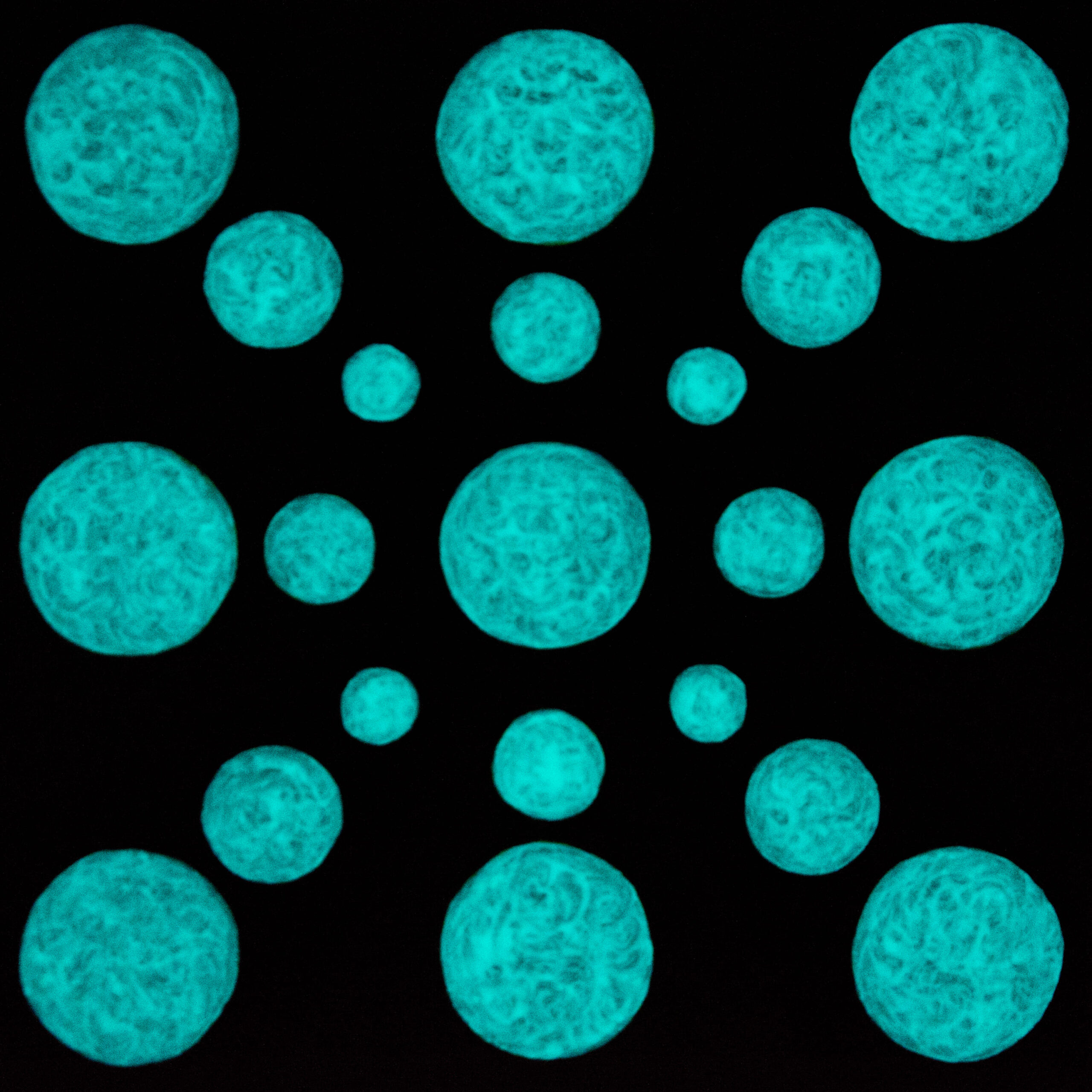 gallery grid image